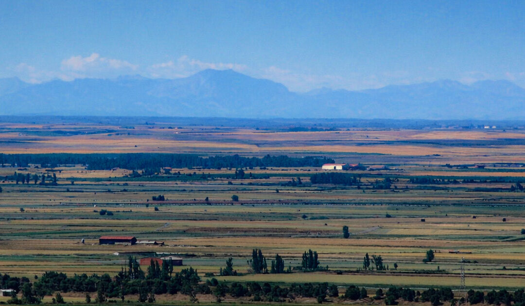 De la montaña a Tierra de Campos: una candidatura para toda Palencia